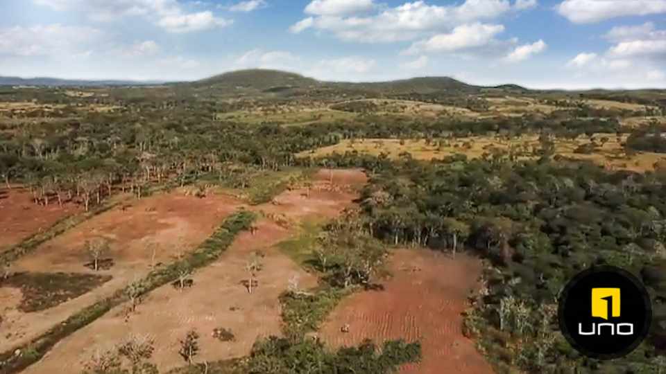 Quinta propiedad agrícola en VentaSOBRE CARRETERA A SAN JAVIER Foto 5