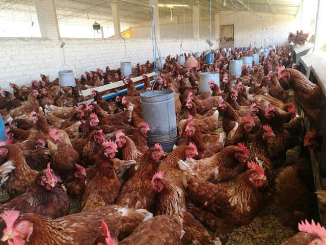 En Venta a $us 498,000 Foto 8