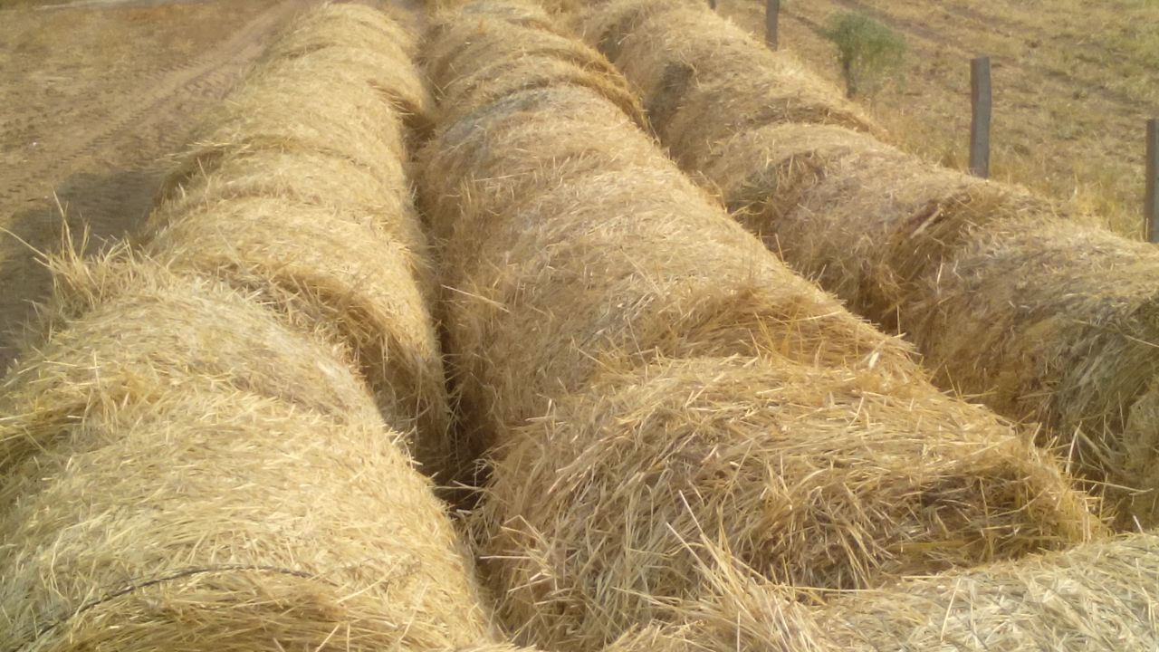 En Venta a $us 1,290,000 Foto 5