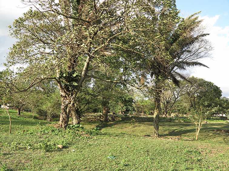 Quinta propiedad agrícola en VentaLa Guardia a 500 m de la Doble vía La Guardia    Foto 9