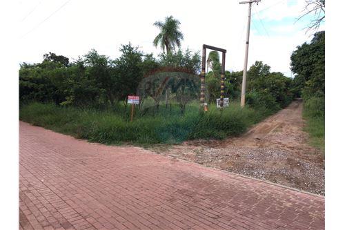 Terreno Zona Urubo, camino a tarumatu Foto 1