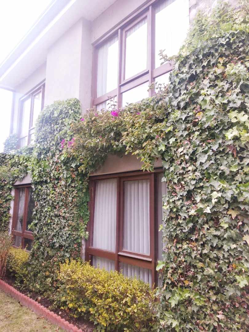 Casa en VentaALTO SEGUENCOMA, PLAZA DE LOS LEONES 4 dormitorios 4 baños 2 parqueos Foto 1