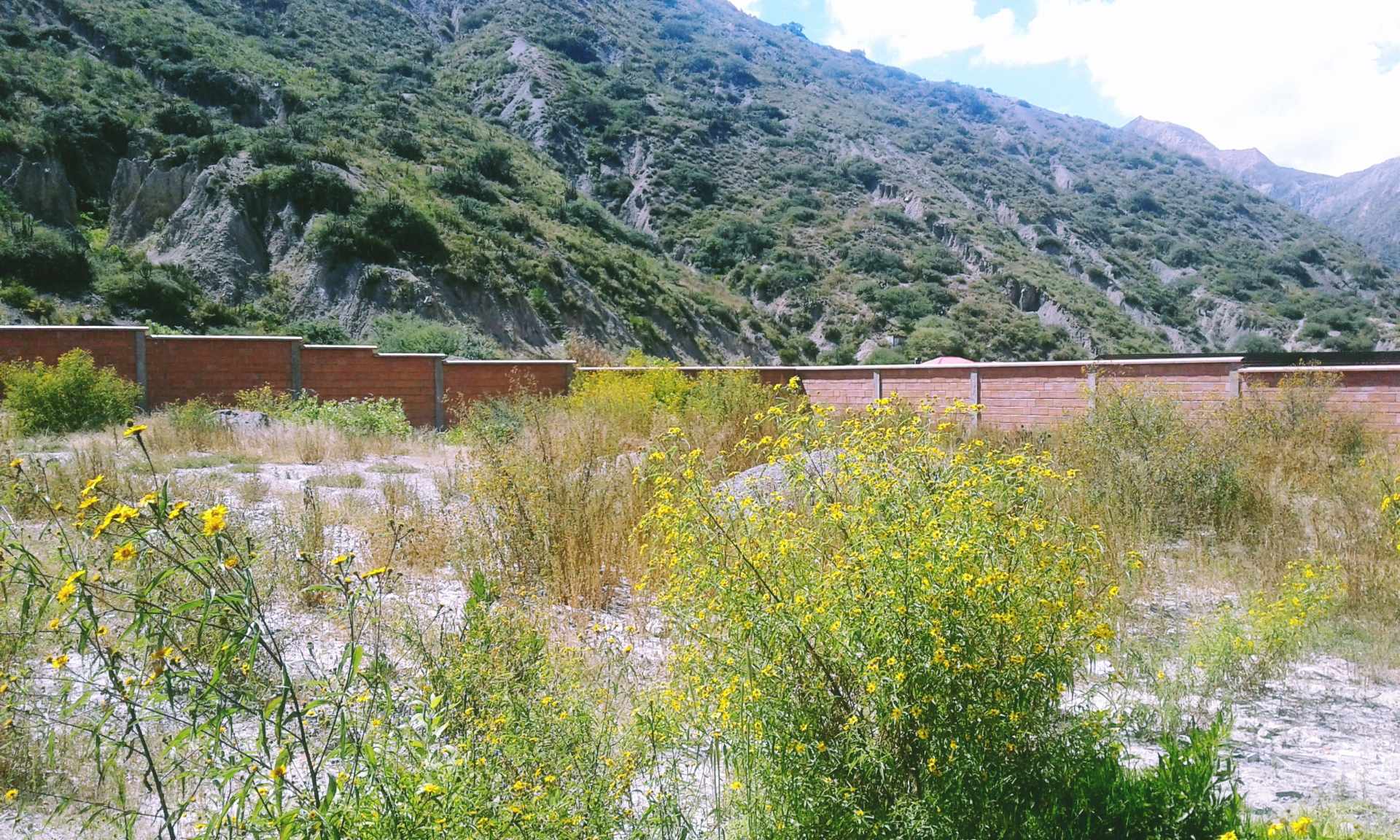 Terreno en VentaZona Carreras y Huajchilla Foto 4