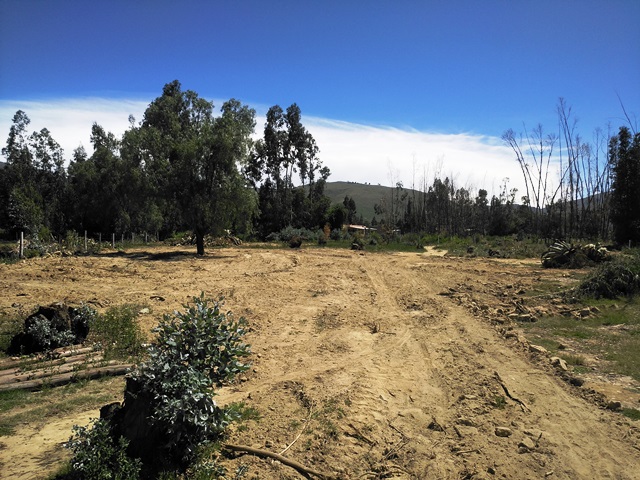 Terreno en Punata en Cochabamba    Foto 6