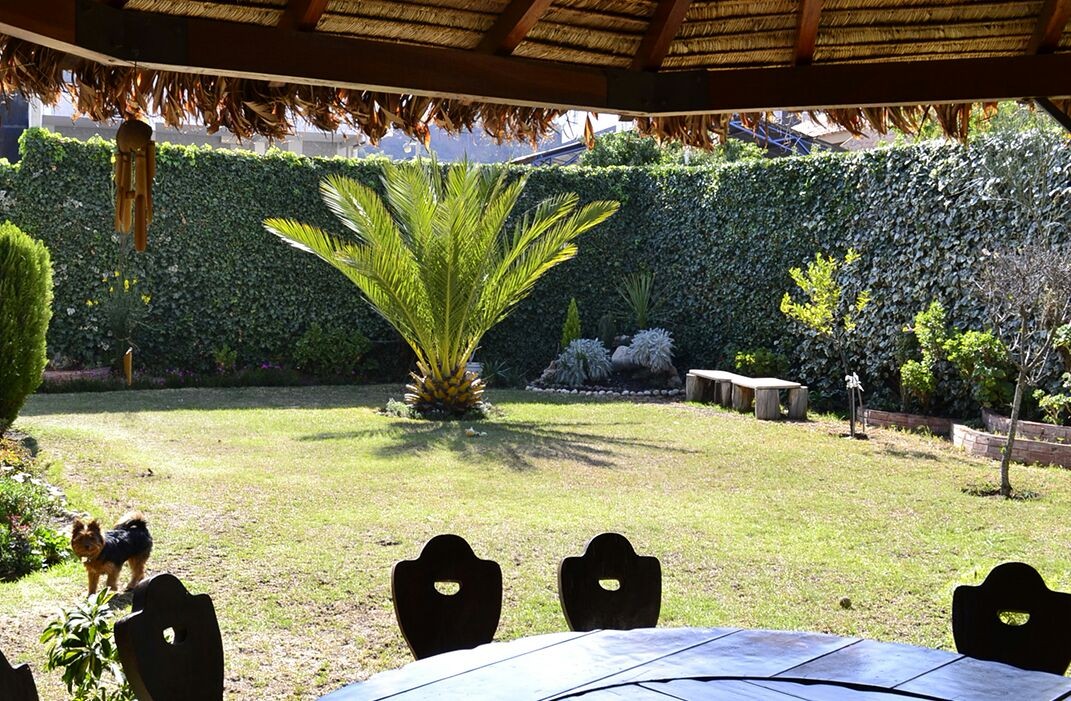 Casa Calle 8 de Achumani Nr 120 al lado del restaurante Urus sobre la calle de la panadería Chez Tim, al lado del río frente al reten policial Foto 7