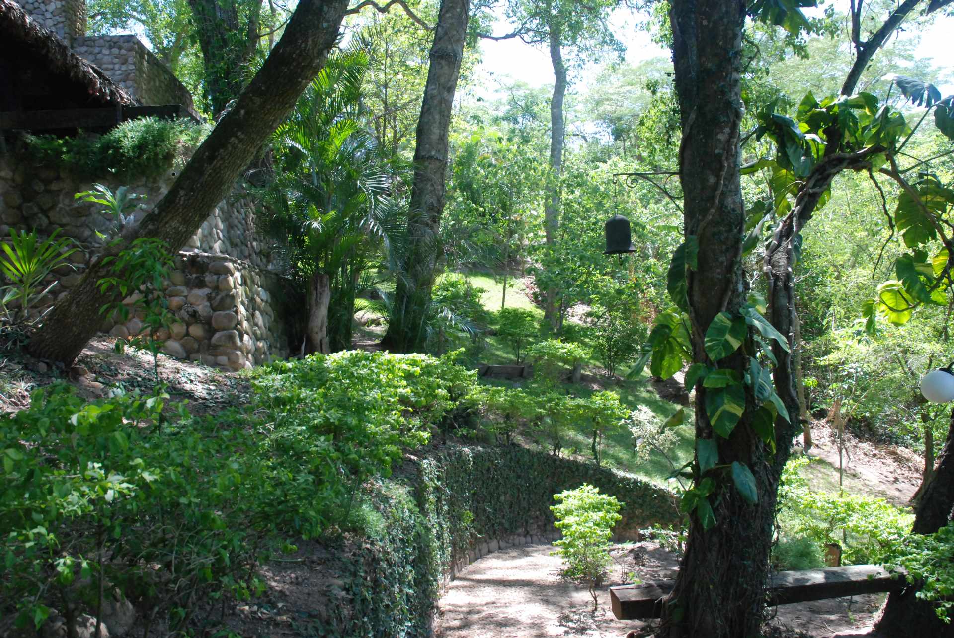 Casa en VentaCasa de Campo en urbanización ecológica  en pleno bosque en la Guardia  Foto 17