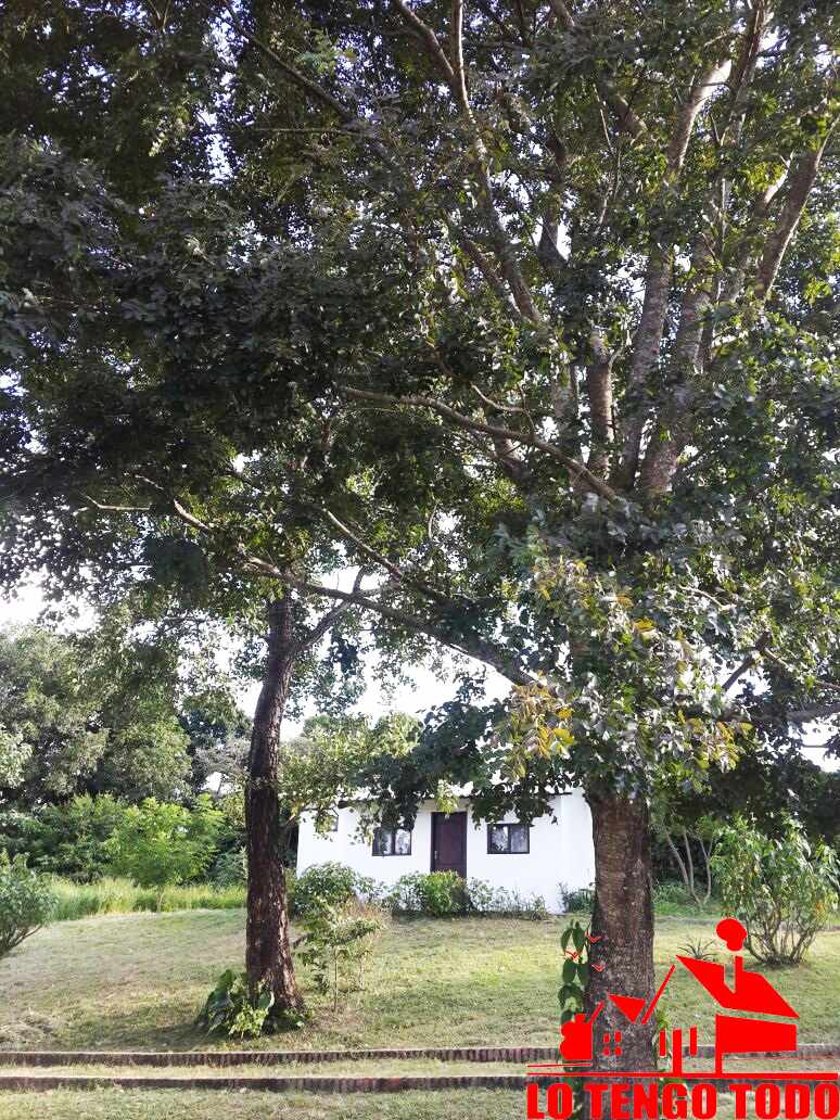 En Venta a $us 580,000 Foto 7