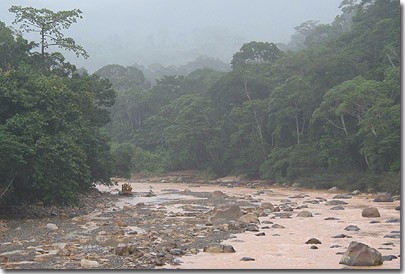 Terreno en VentaTerreno de 450 hectareas de selva virgen    Foto 5