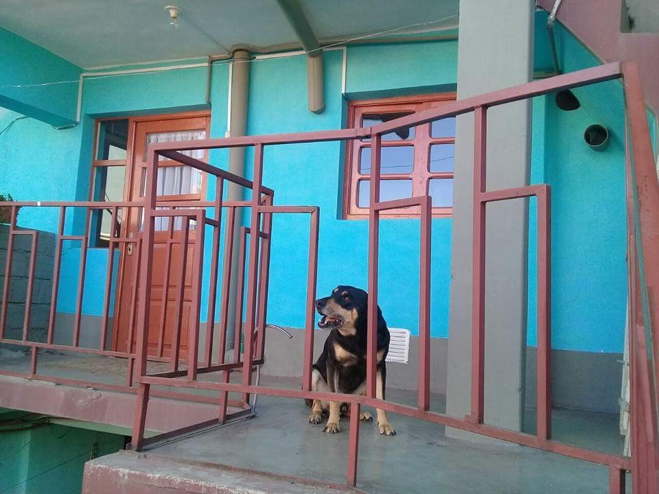 Casa en El Tejar en La Paz 10 dormitorios 4 baños  Foto 8