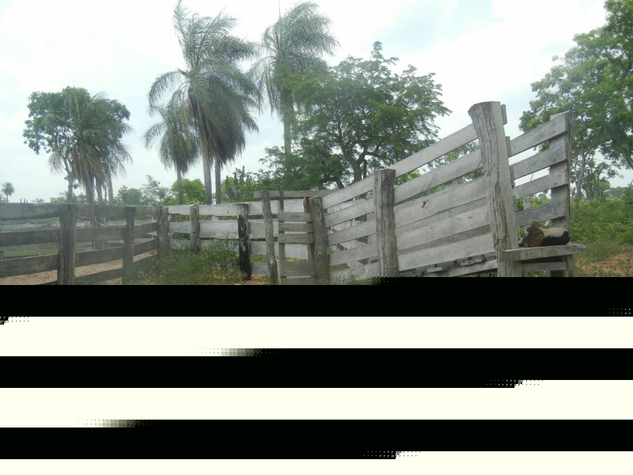 Terreno en VentaA 60 Km al Sur de Roboré Foto 8