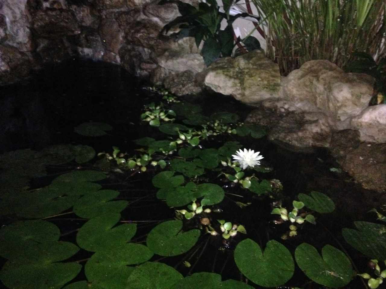 Casa Condominio Asai 1, Km 9 1/2 Doble Via La Guardia Foto 14