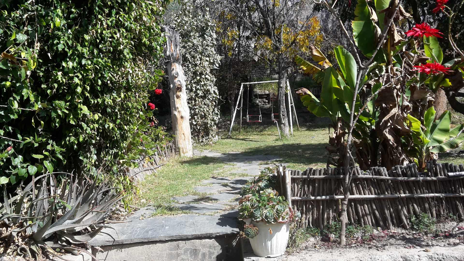 Casa EL PALOMAR Casa de Campo con arboles frutales a 50 minutos de la Zona Sur Foto 16