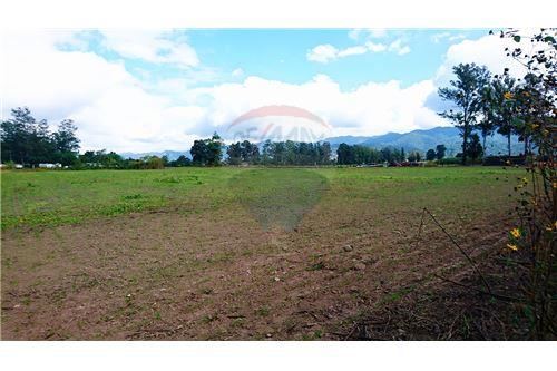 En Venta a $us 1,500,000 Foto 7