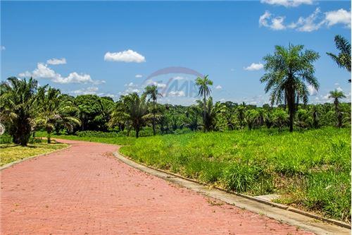 Terreno en VentaUrubo frente Biocentro Guembe (Mariposario)    Foto 1