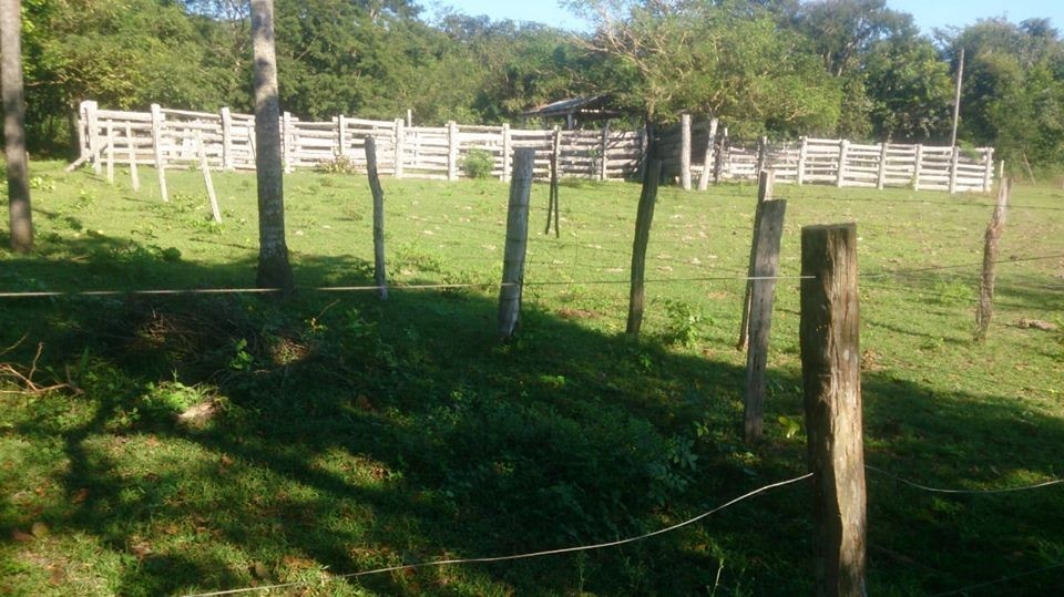 Quinta propiedad agrícola en VentaEL CARMEN RIVERO TORREZ Foto 4