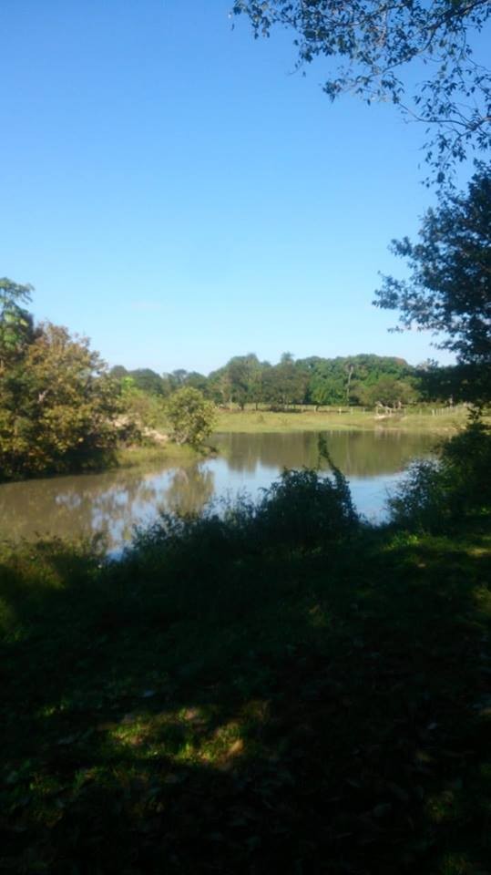 Quinta propiedad agrícola en VentaEL CARMEN RIVERO TORREZ Foto 7