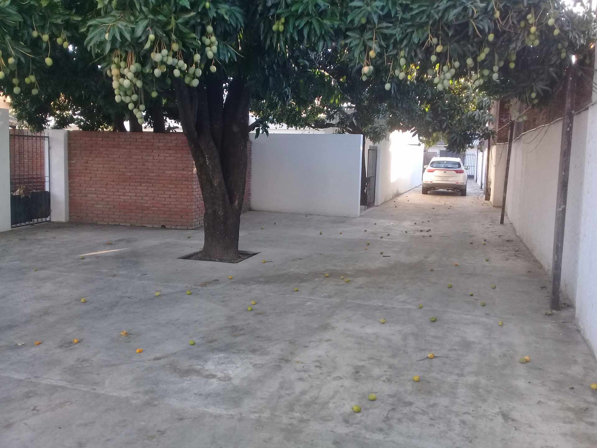 Terreno en Venta2do ANILLO  ENTRE AV VIRGEN DE COTOCA Y AV. BRASIL    Foto 3