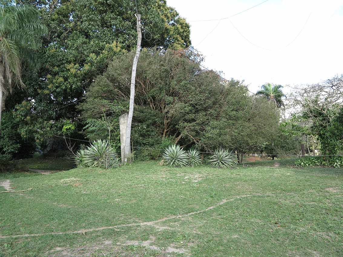 Quinta propiedad agrícola en VentaLa Guardia a 10 cuadras de la Doble vía la Guardia    Foto 14