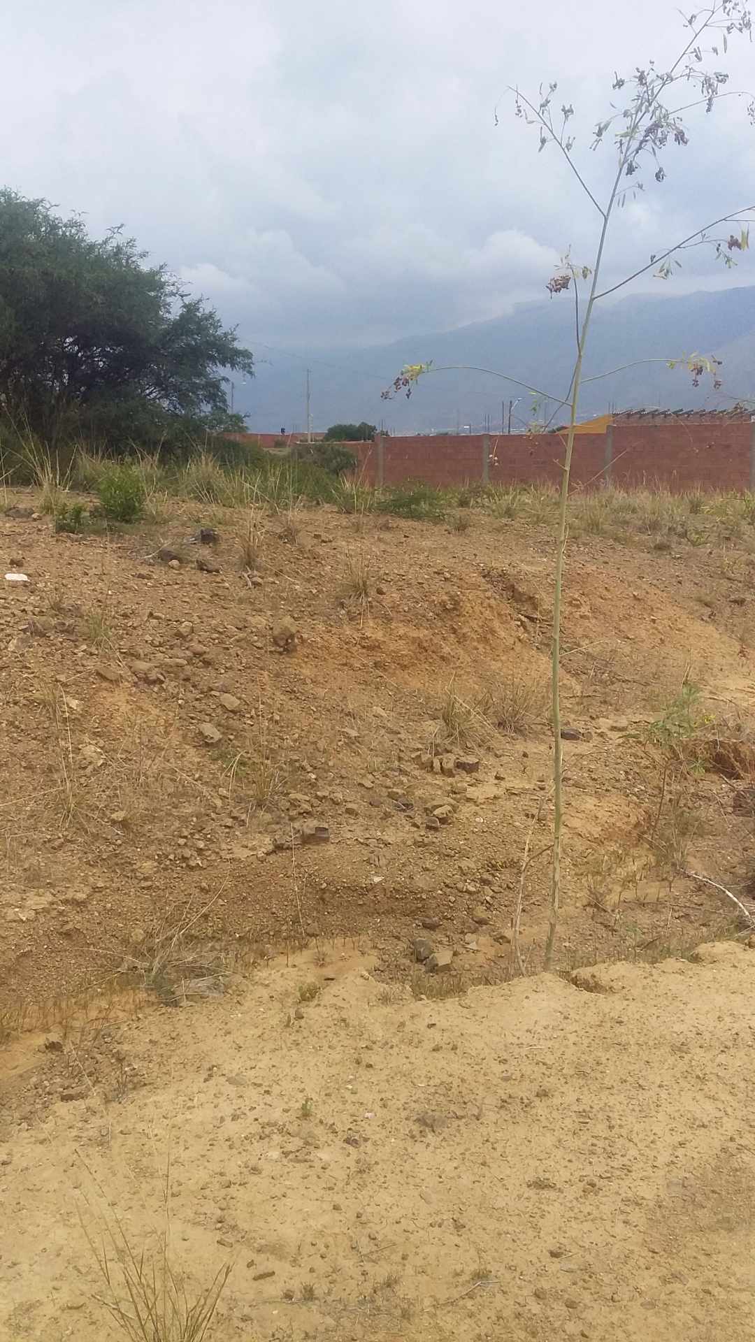 Terreno en VentaSacaba tuscapujio urbanizacion COBIPOL    Foto 2