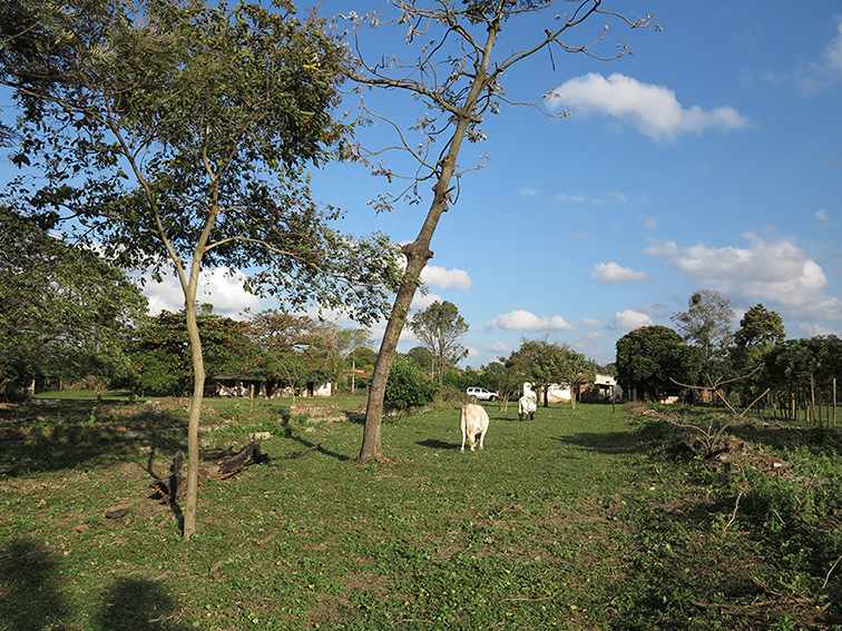 Quinta propiedad agrícola en VentaLa Guardia a 500 m de la Doble vía La Guardia Foto 12