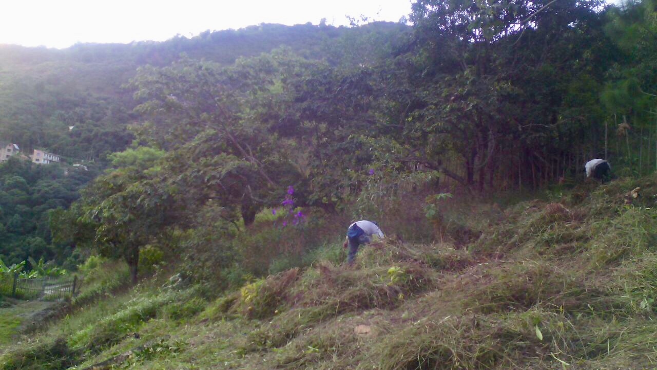 Terreno en Chulumani en Chulumani    Foto 8