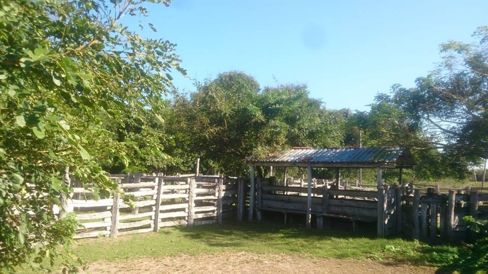 Quinta propiedad agrícola en VentaEL CARMEN RIVERO TORREZ Foto 1