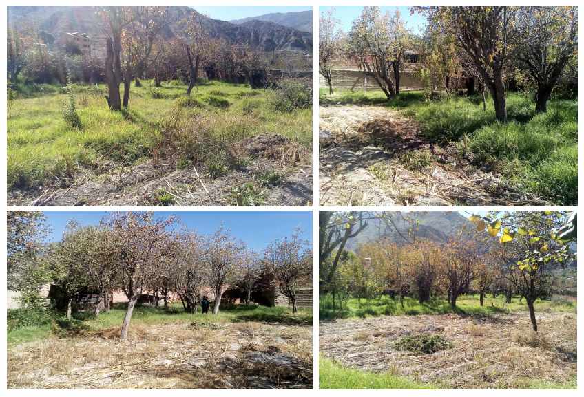 Terreno en Río Abajo en La Paz    Foto 6