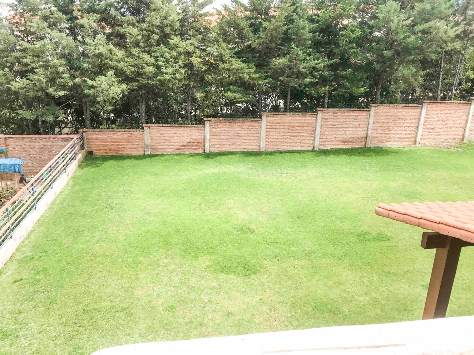 El bosque Norte us 1,650 [UC536762]