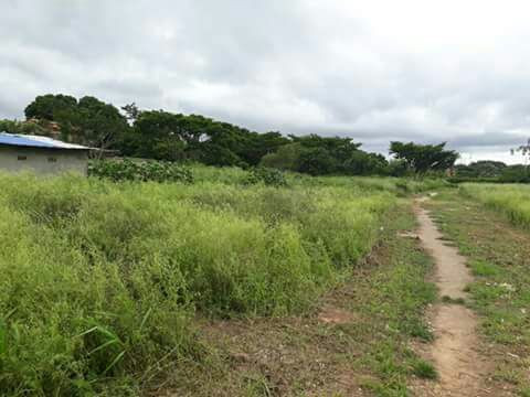Terreno en Carretera Norte en Santa Cruz de la Sierra    Foto 8