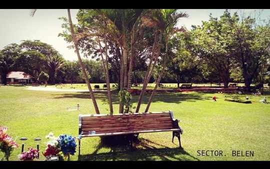Terreno en VentaCarrtera a cotoca antes de la tranca Parque cementerio Montesacro y km 10 Carretera al norte Parque cementerio Las Misiones    Foto 3