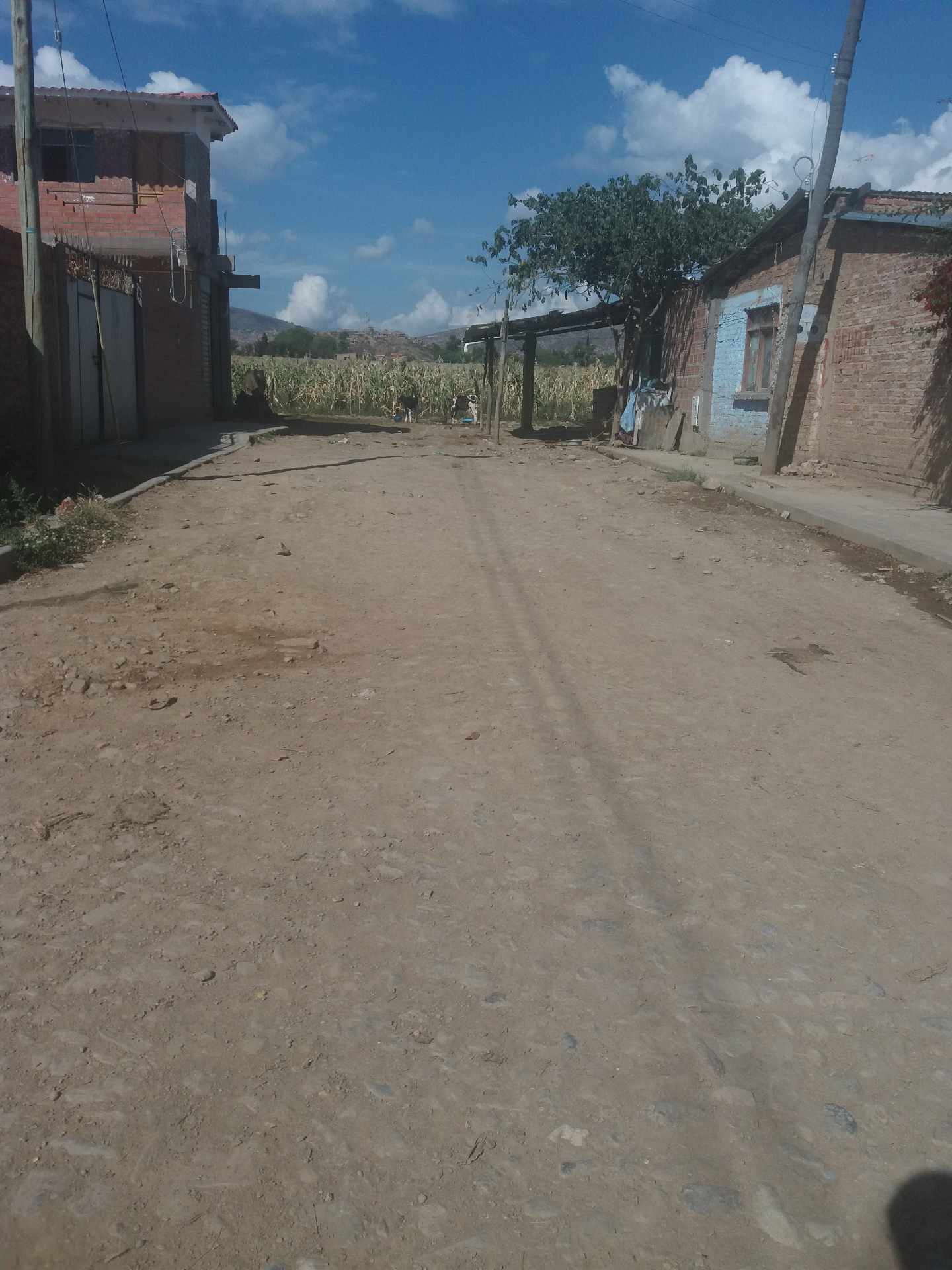 Terreno en VentaAV. PANAMERICANA ESQUINA COLEGIO SAN ANTONIO, CAMINO EN SENTIDO A MOLLE MOLLE; ZONA SUD PUCARA Foto 2
