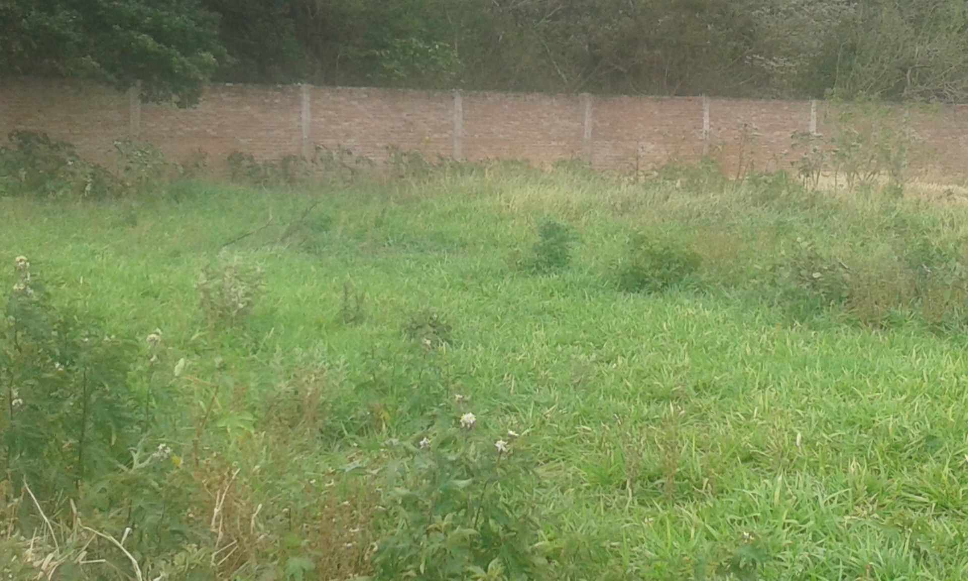 Terreno en VentaURBANIZACION ANDALUCIA KM. 5 1/2 CARRETERA A COTOCA, A 100 M DEL PAVIMENTO, (LA ZONA DEL FUTURO EN SANTA CRUZ), A CUADRAS DEL PARQUE ECOLOGICO, Foto 9