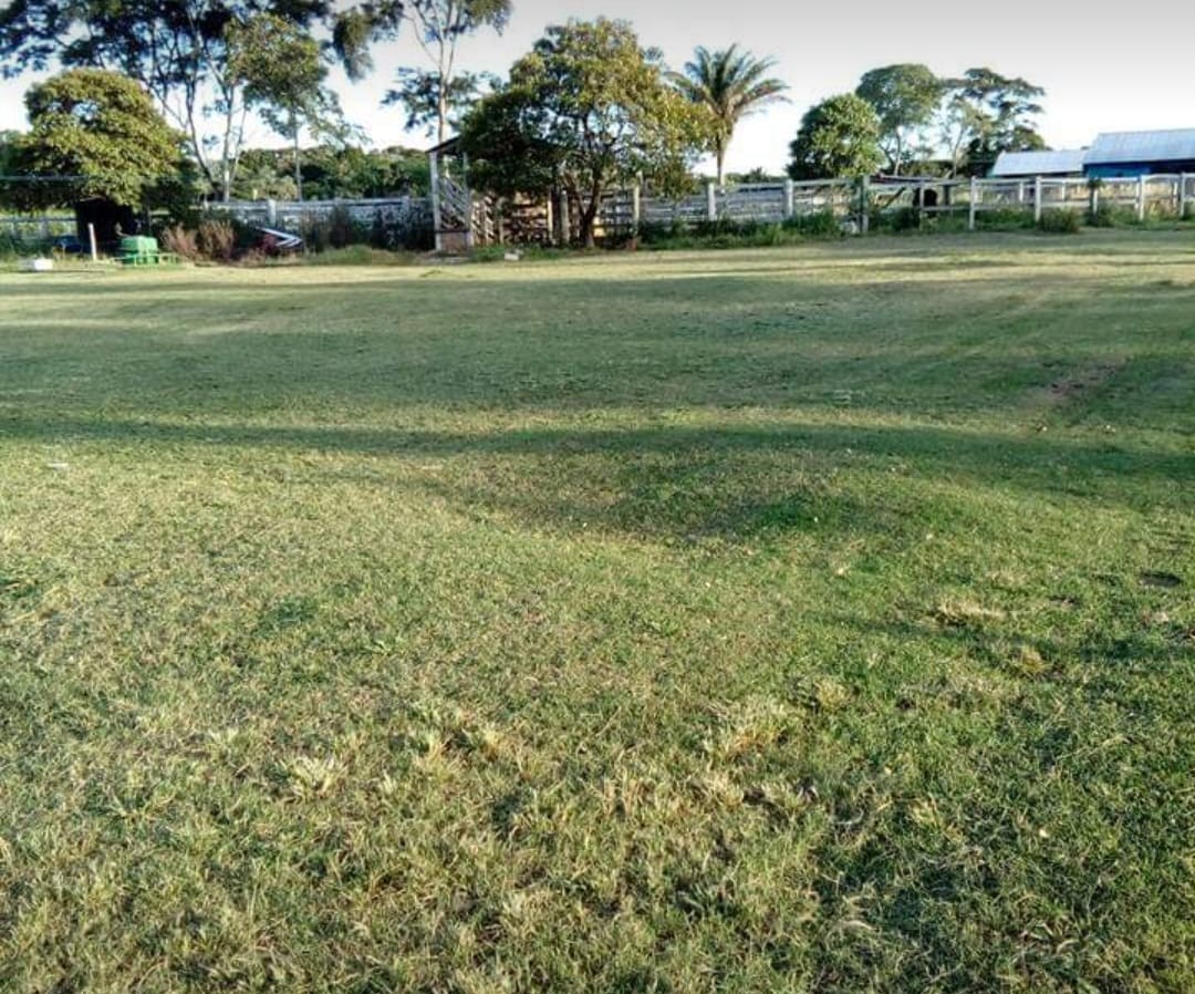 Quinta propiedad agrícola en VentaPASANDO  LA TRANCA DE MONTERO / PALOMETILLO Foto 2