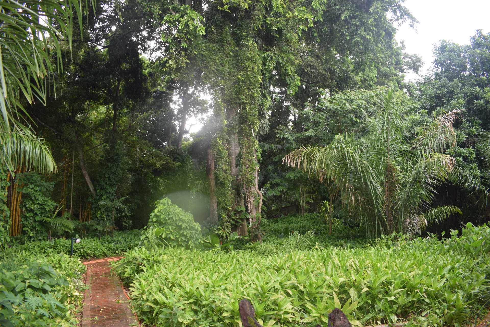 En Alquiler a $us 5,000 Foto 3