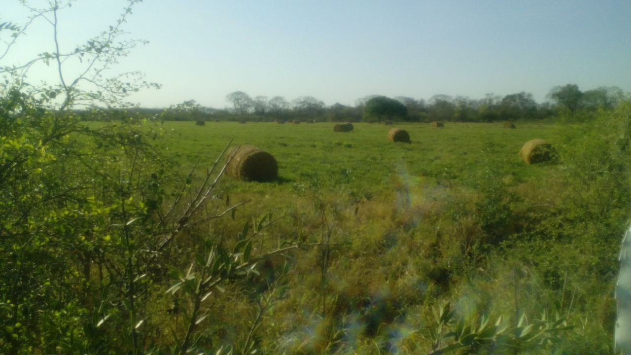 En Venta a $us 1,290,000 Foto 2