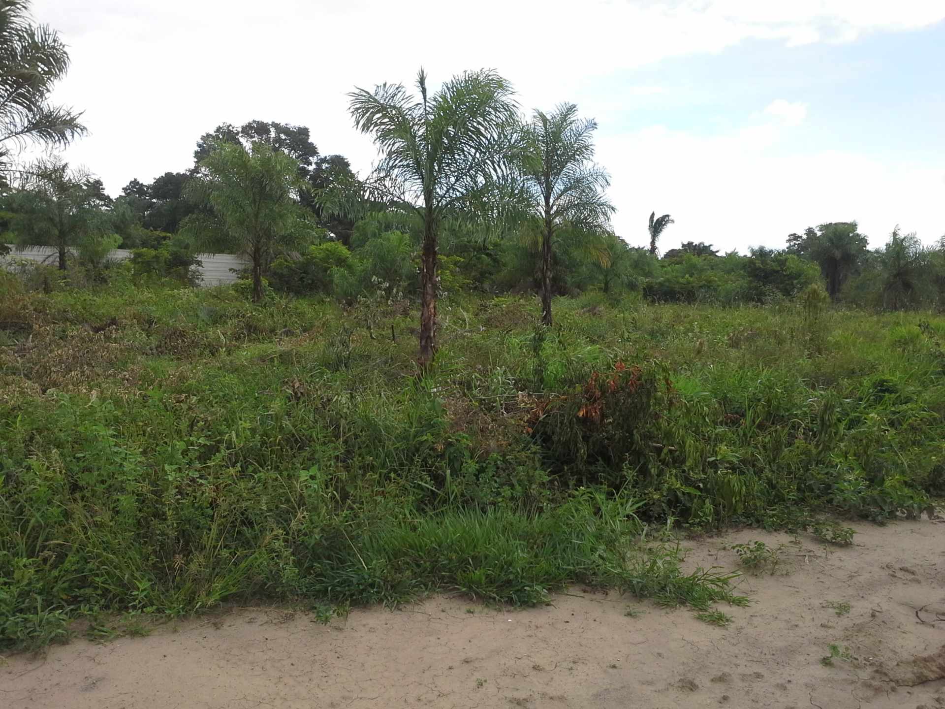 Terreno Pentaguazu II, UV 107, M19, lote 1, Warnes, Santa Cruz Foto 1