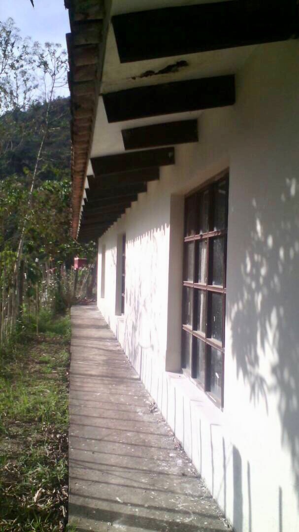 Terreno en Chulumani en Chulumani    Foto 3