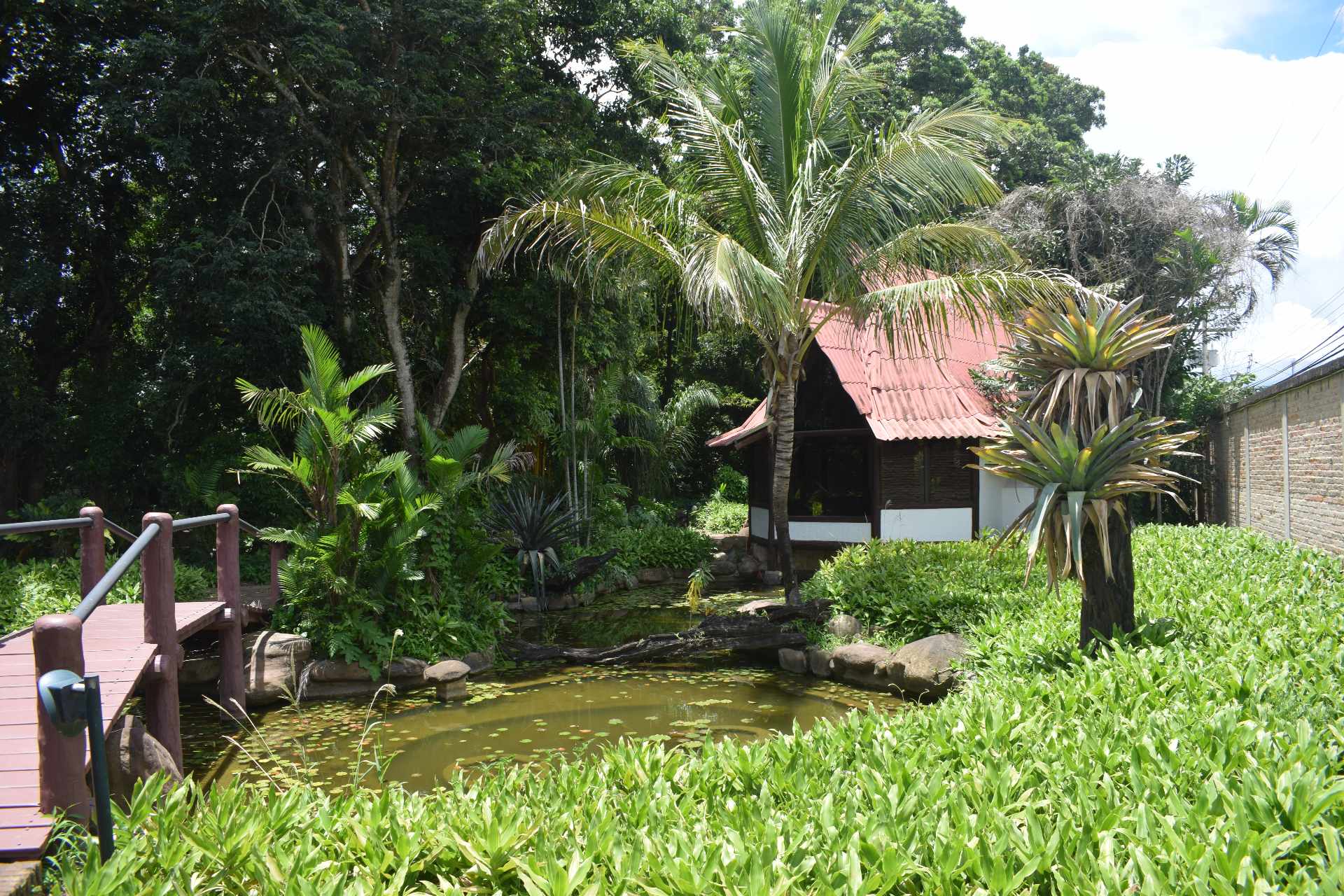 En Alquiler a $us 5,000 Foto 2