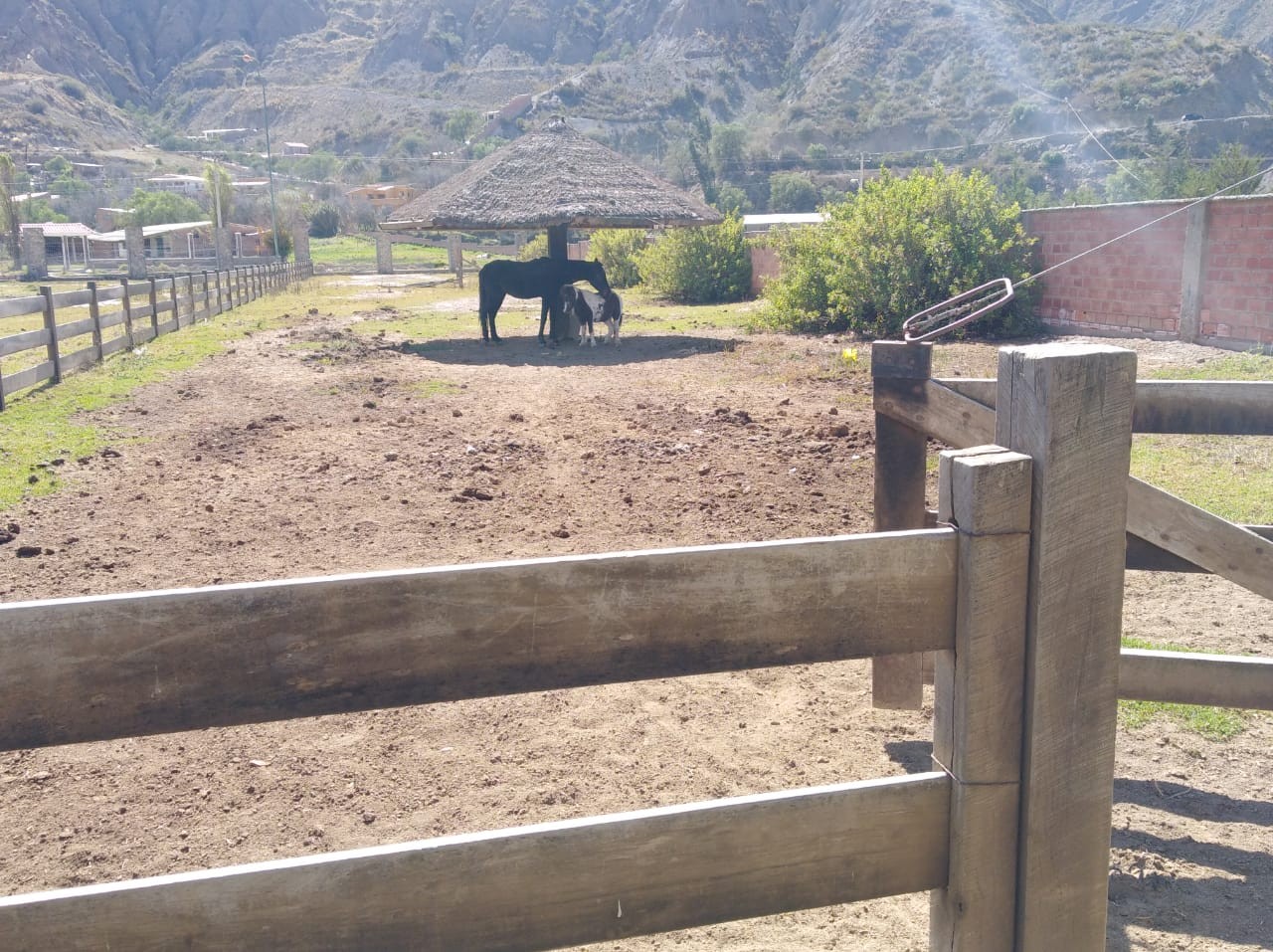 Terreno en VentaMECAPACA (Lado del Hotel D&M) Foto 21