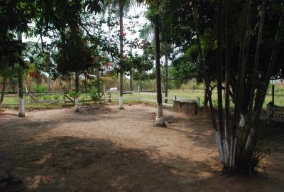 7df859a4a577ac54df6bfe50f7003f81d171f8