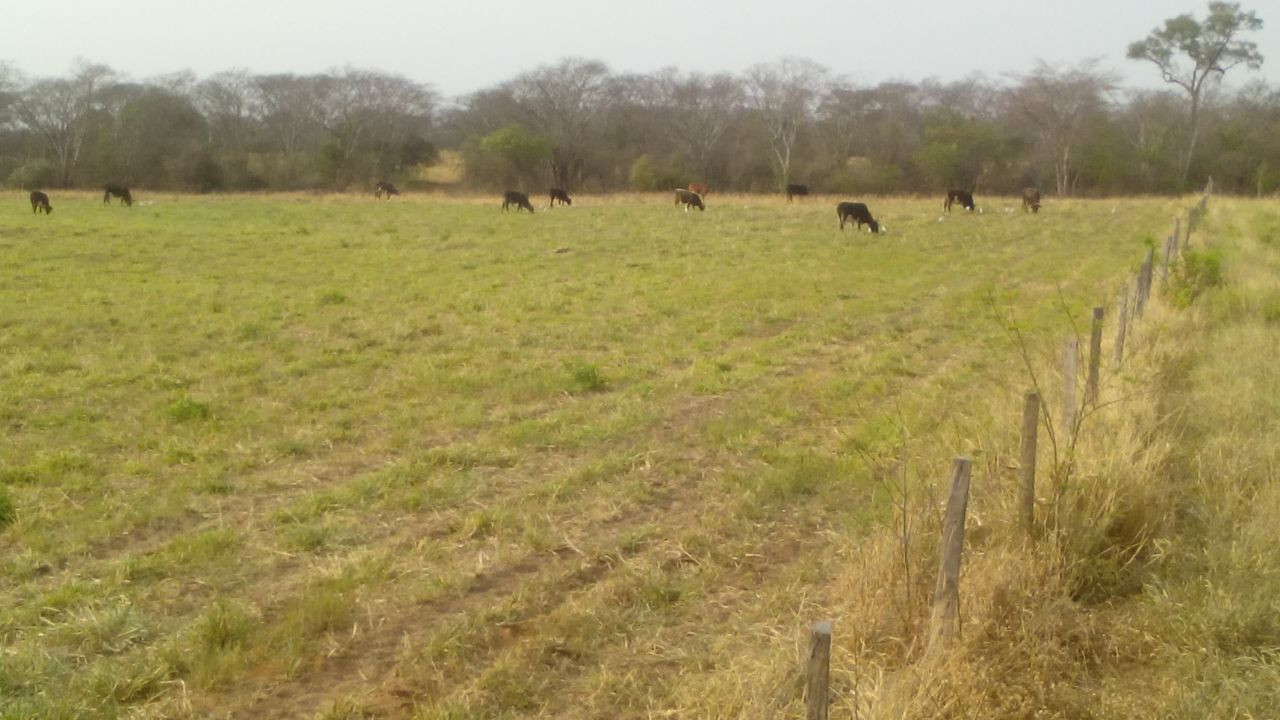 En Venta a $us 1,290,000 Foto 3