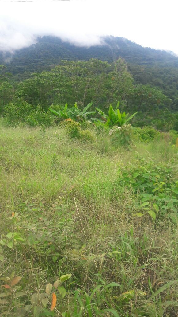 En Venta a $us 10,000 Foto 6