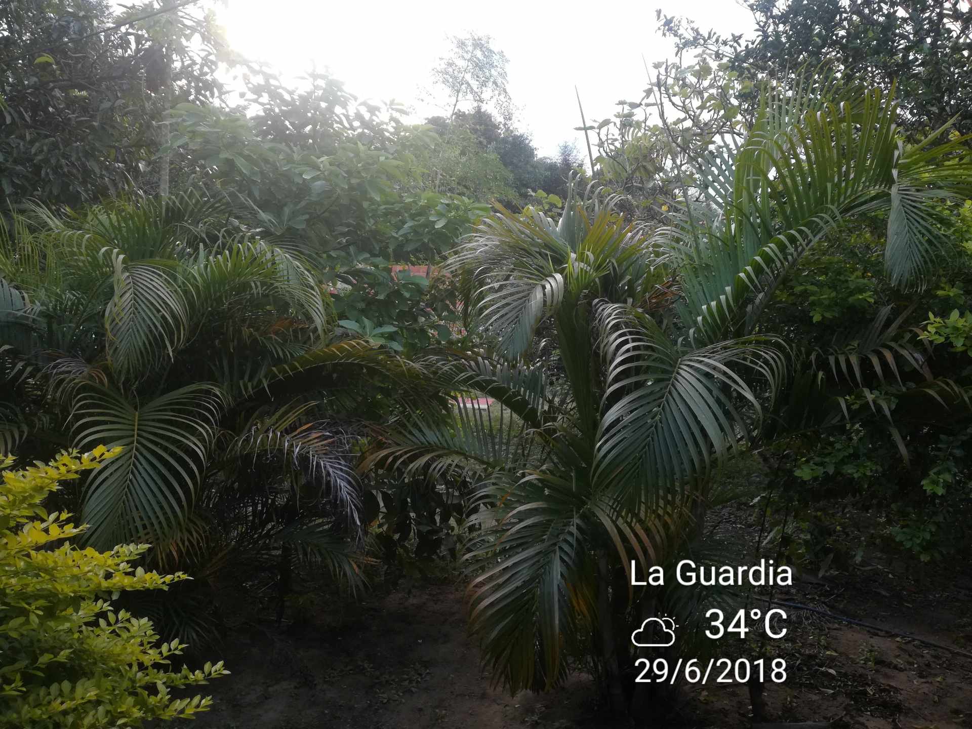 Casa Calle Virgen de Asunción Nro 125, Barrio Aguilera Foto 14