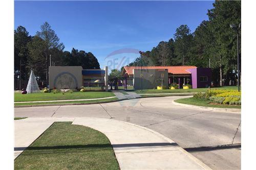 Casa en VentaCalle Sauce Sevilla Pinatar Foto 8