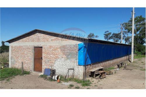 Terreno en Doble vía La Guardia en Santa Cruz de la Sierra 5 dormitorios 3 baños  Foto 8