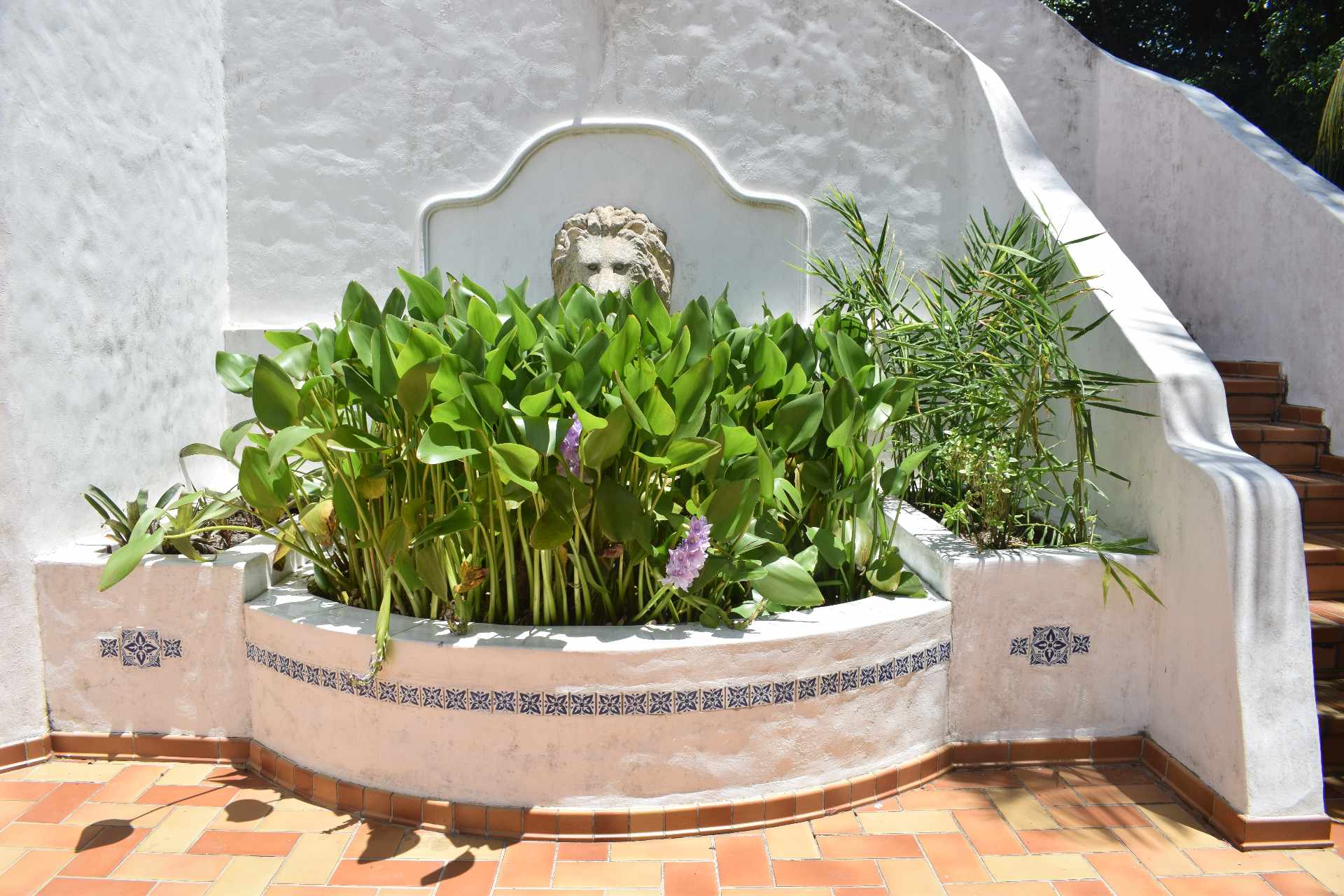 En Alquiler a $us 5,000 Foto 13