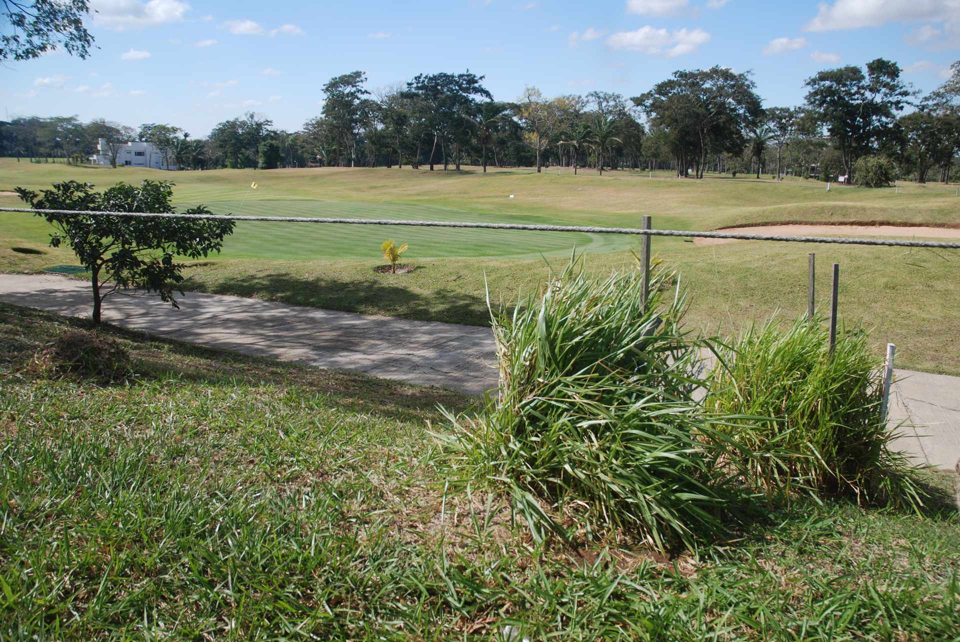 Terreno  Hermoso terreno 975m2 en el Urubo Golf frente hoyo 3 Foto 5