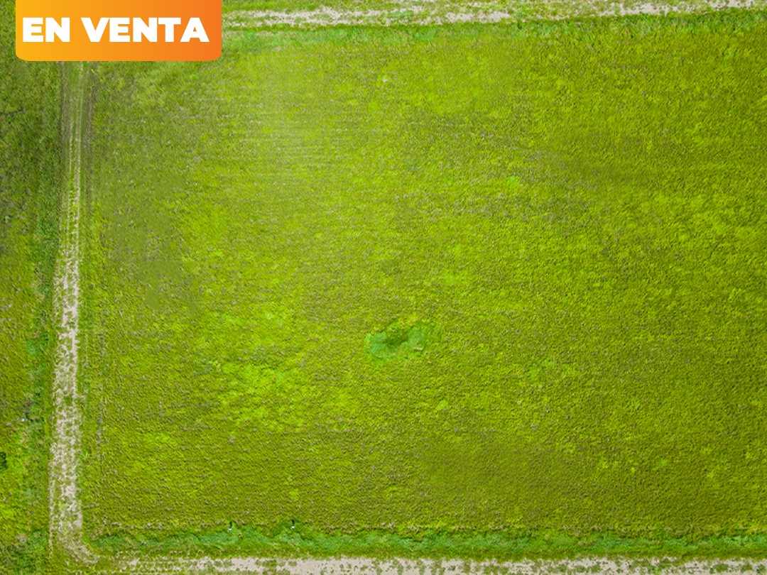 Terreno en Carretera Norte en Santa Cruz de la Sierra    Foto 5