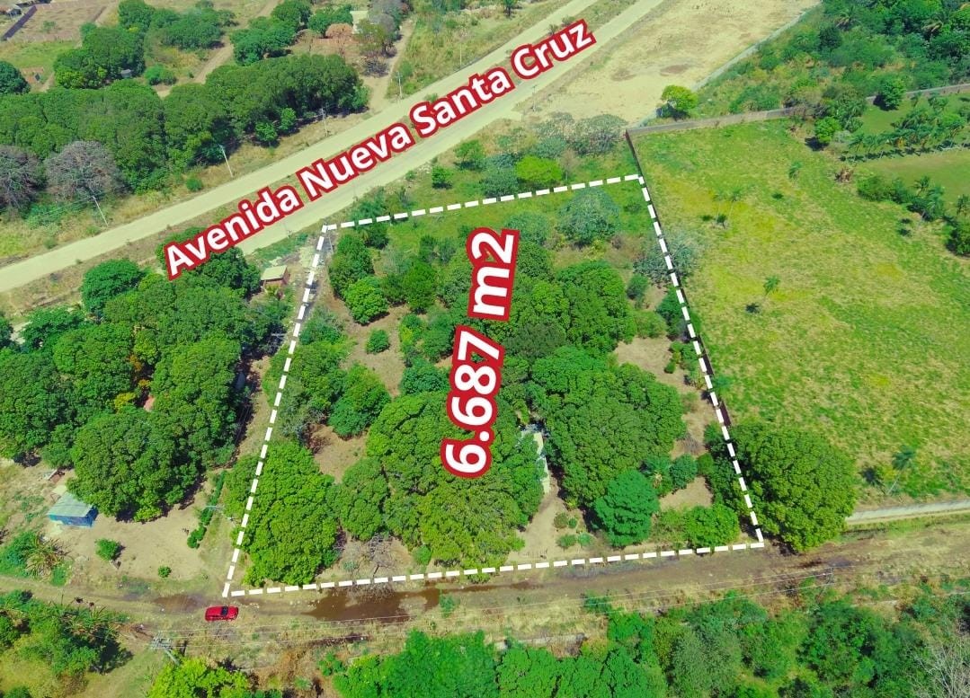 Terreno en Venta8vo Anillo entre Av. G77 y Av. Nueva Santa Cruz
 Foto 4