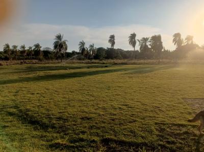 804842fd8d49b78e04225acd4468a6d017d6d1